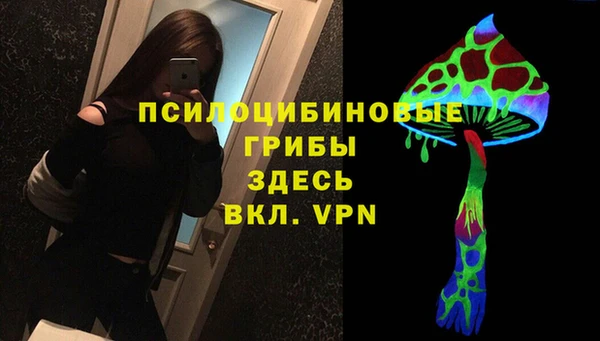 герыч Домодедово